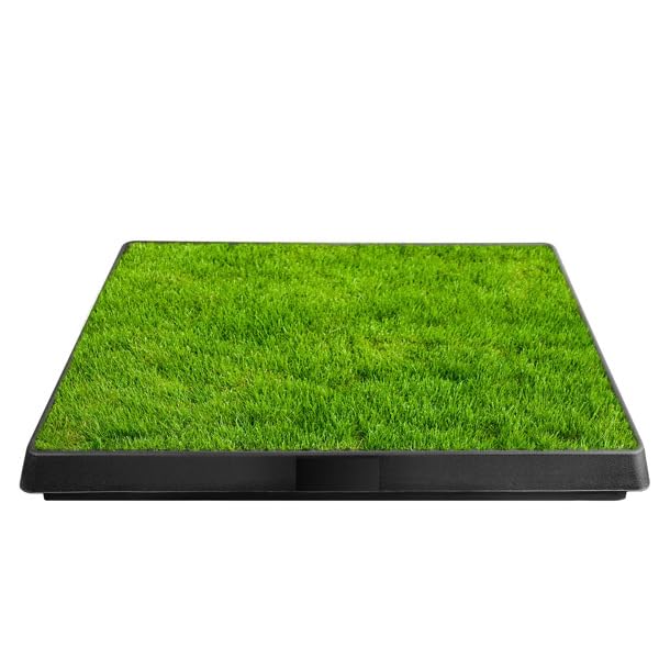 Dog Potty Tray with Artificial Grass X43547