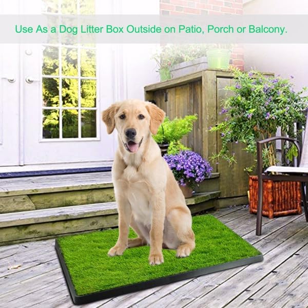 Dog Potty Tray with Artificial Grass X43547