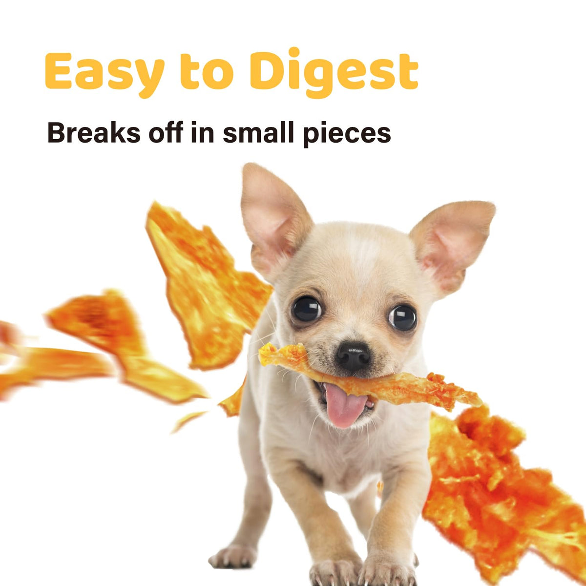 Turkey Tendon Dog Chew Strips B704803