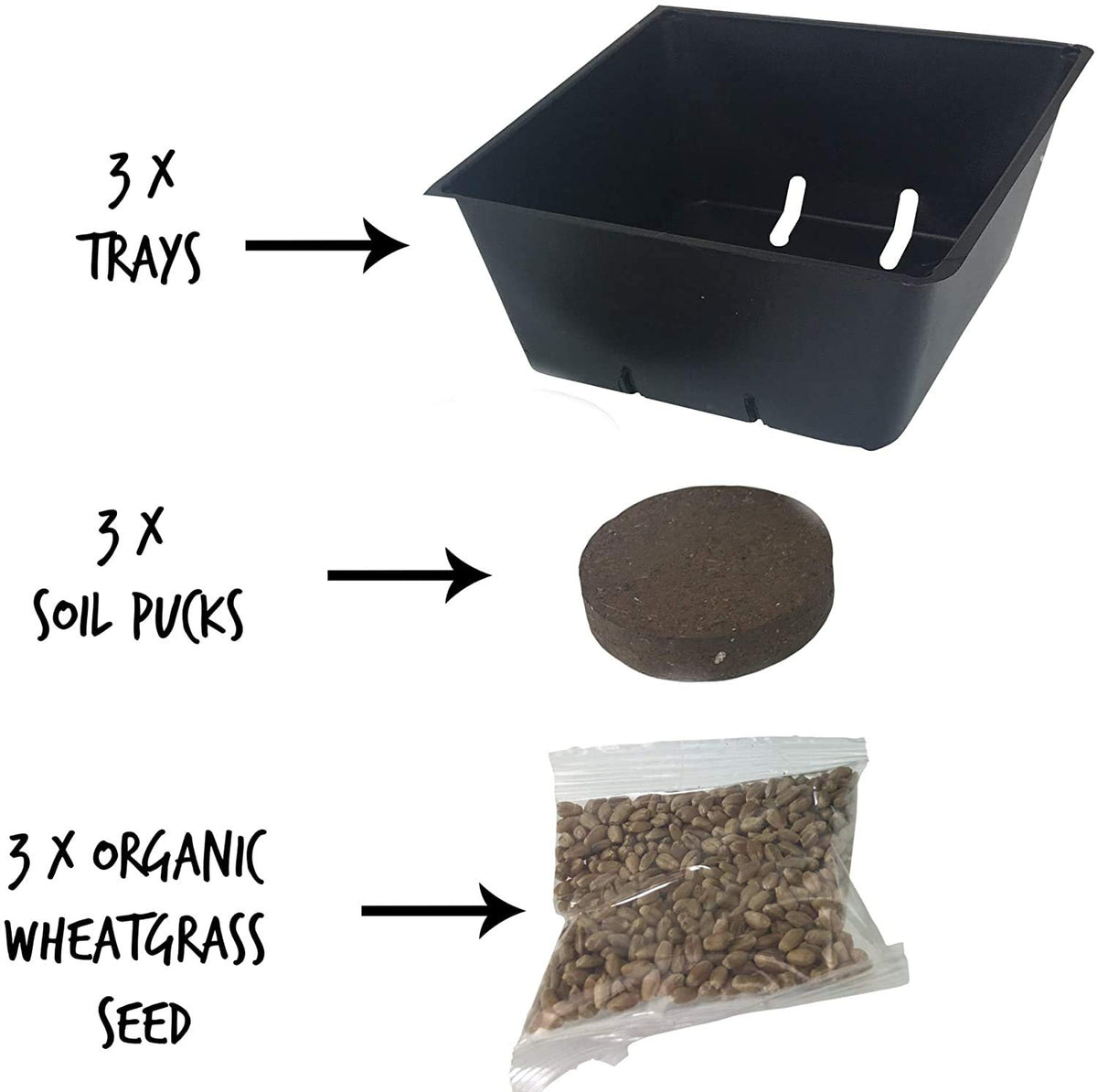 Organic Cat Grass Kit with 3 Trays E6576