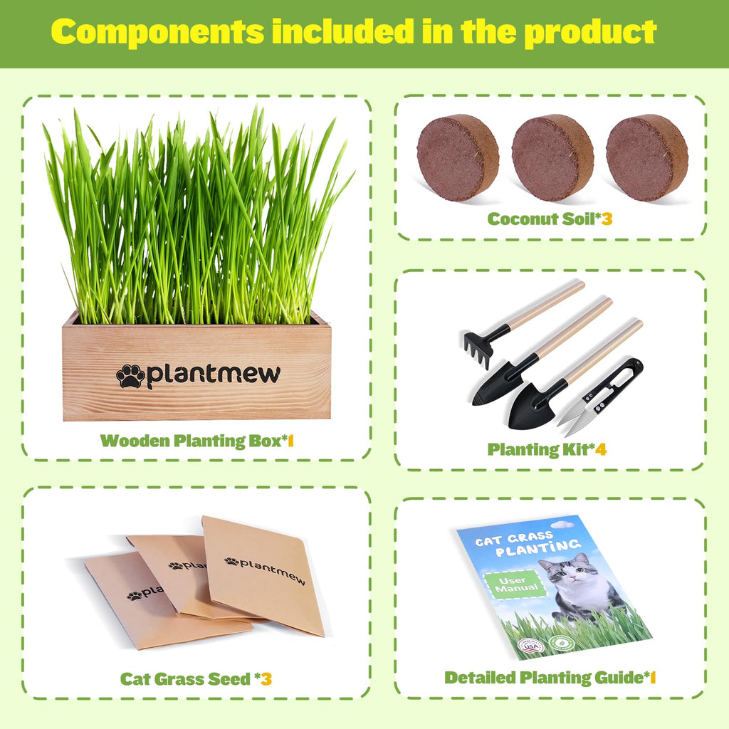 Cat Grass Kit with Seeds, Soil & Planter Pots I225816