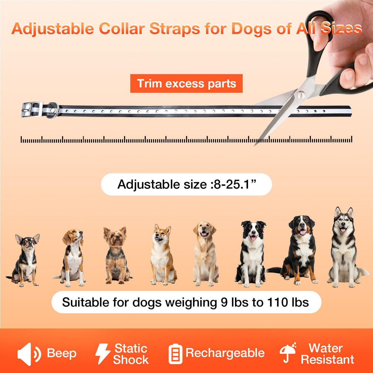 Electric Dog Fence T7170