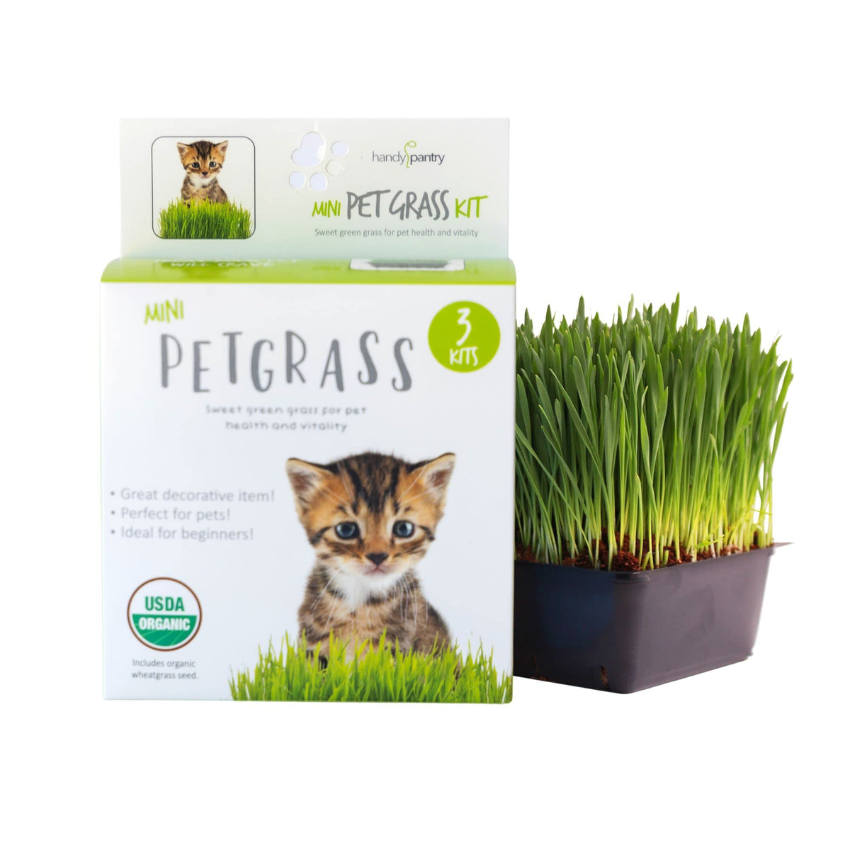 Organic Cat Grass Kit with 3 Trays E6576