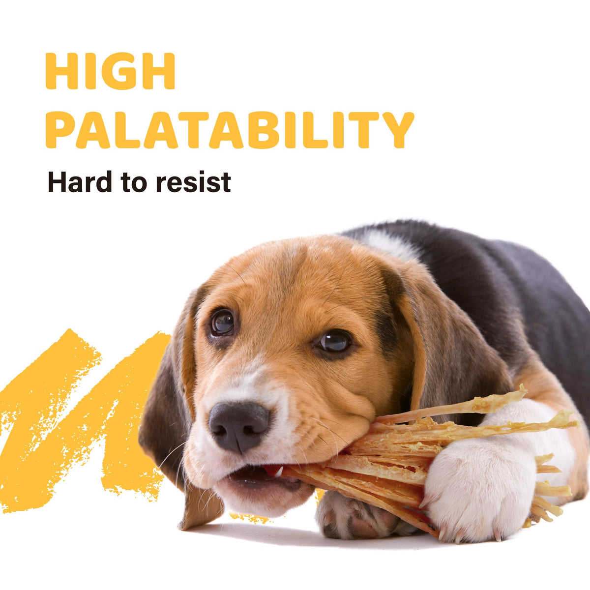 Turkey Tendon Dog Chew Strips B704803