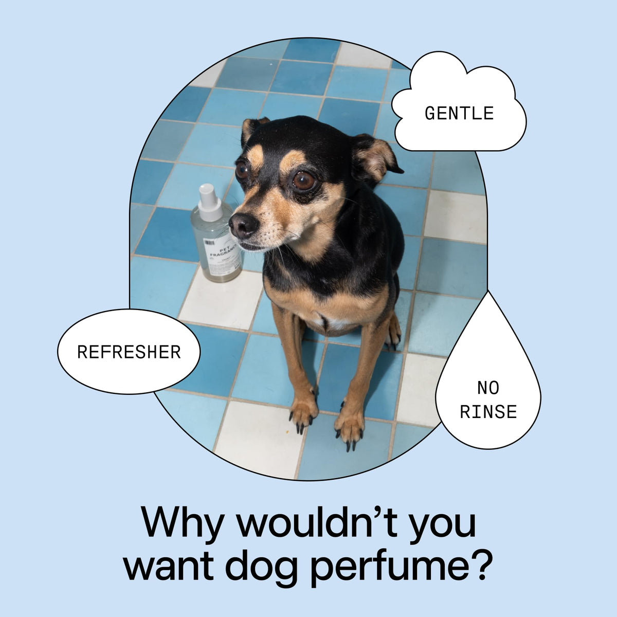 Pet Shampoo & Fragrance Bundle Dog Grooming Set C9230