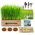 Cat Grass Kit with Seeds, Soil & Planter Pots I225816