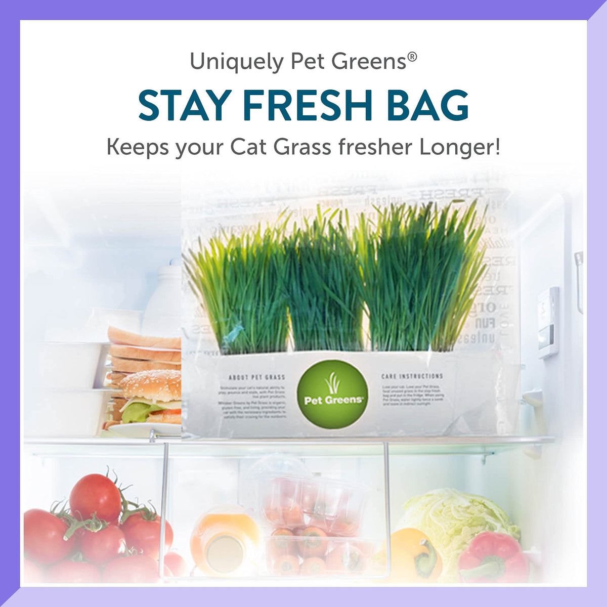 Organic Cat Grass 3-Pack C335989