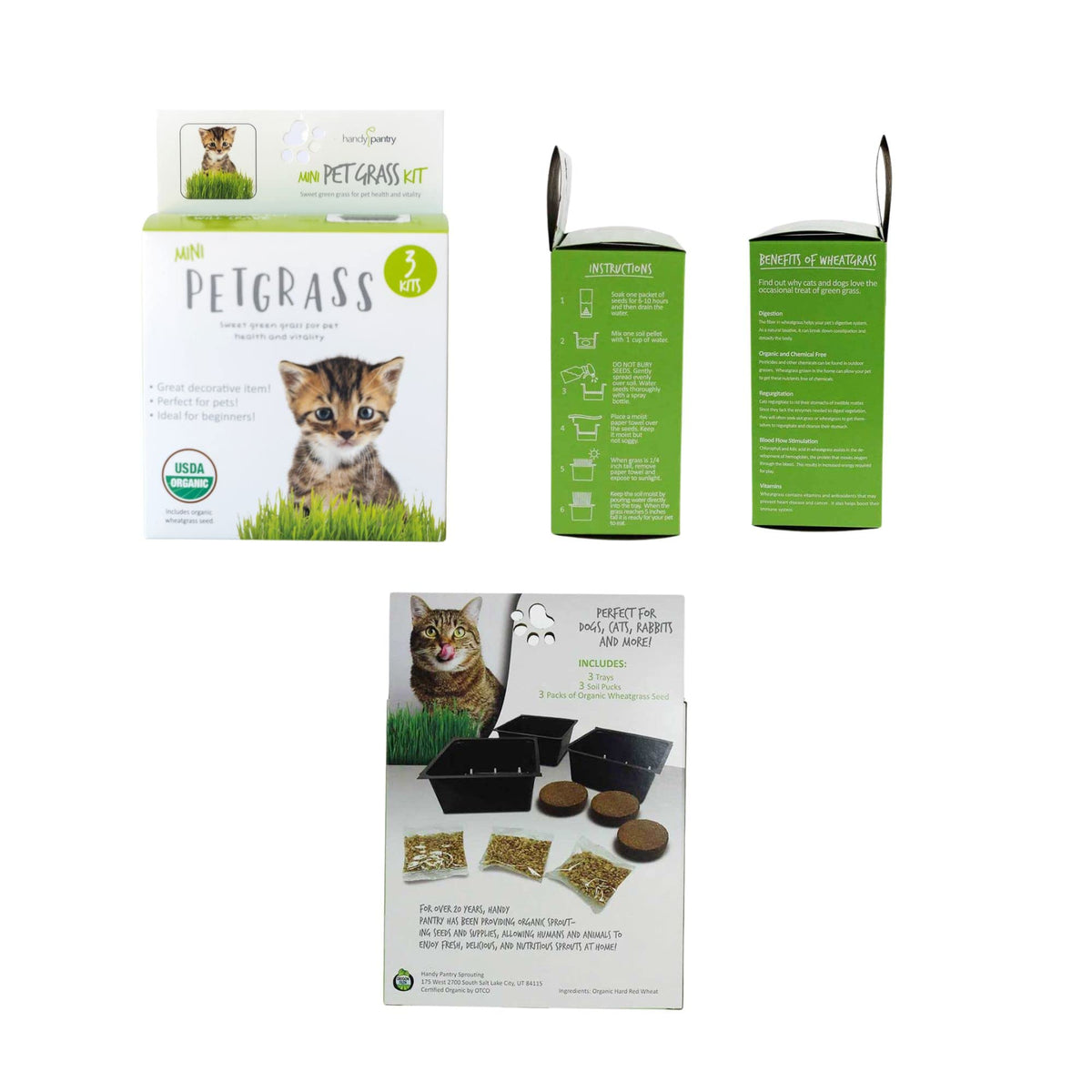 Organic Cat Grass Kit with 3 Trays E6576