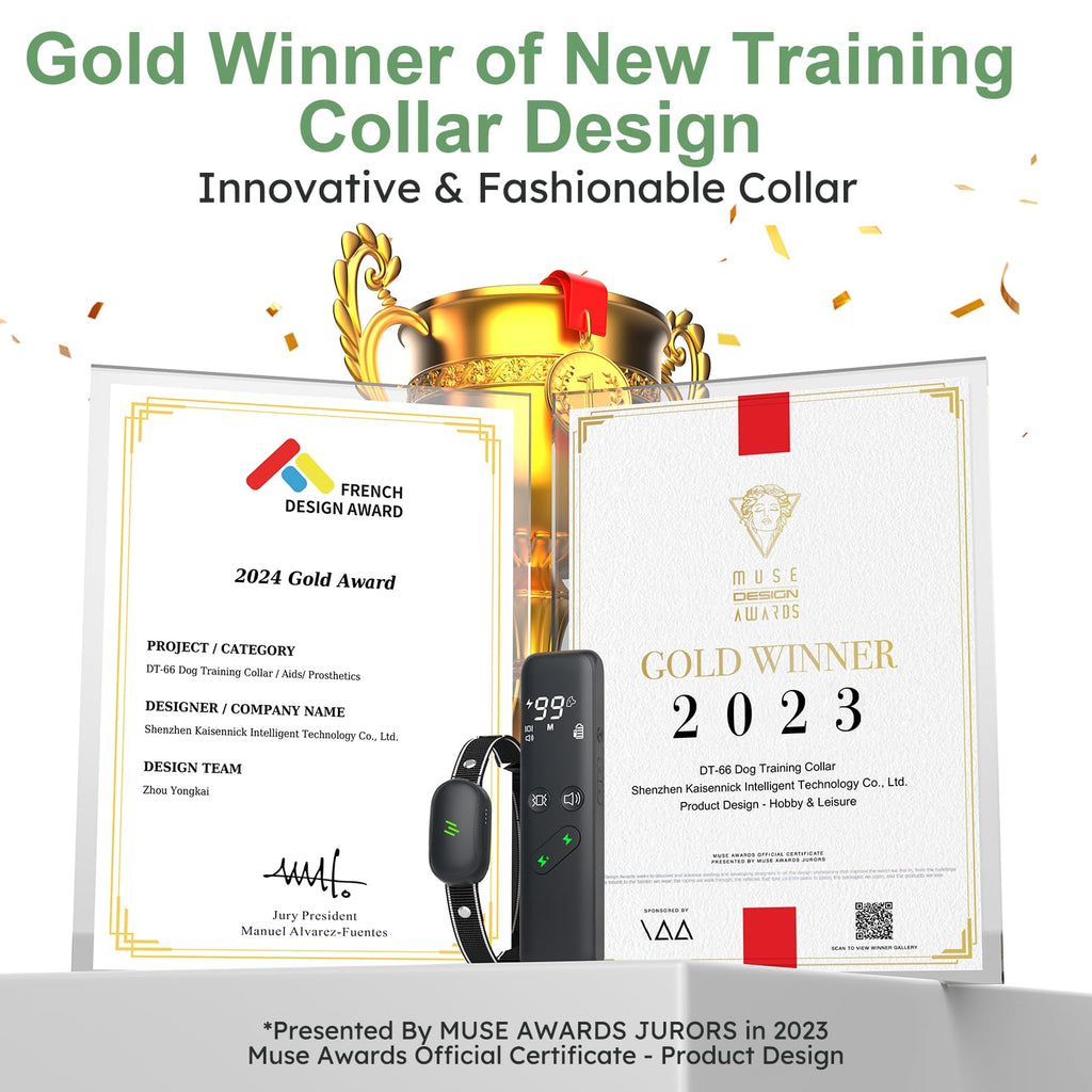 Dog Electric Training Collar with Remote H623813