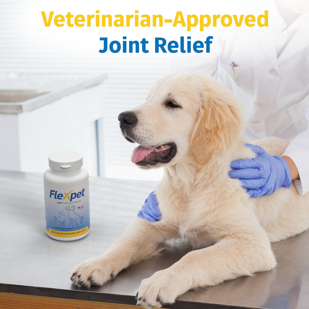 Hip & Joint Supplement for Dogs & Cats with Glucosamine, Collagen, MSM - 60 Tablets X637582