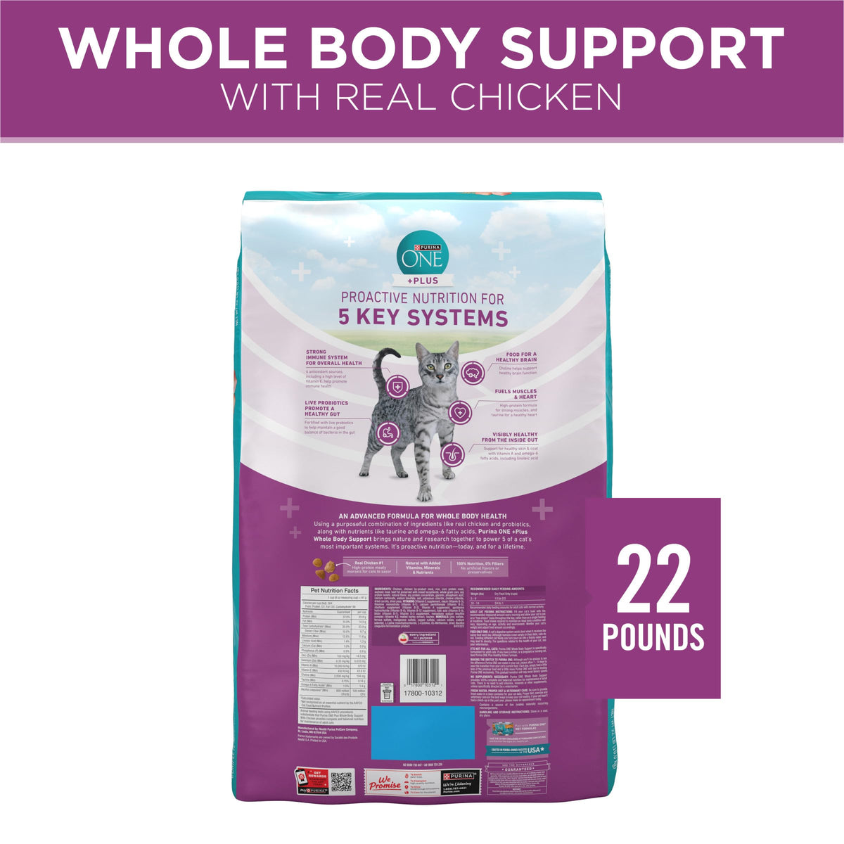 Dry Cat Food 22 lb. Bag Z372111