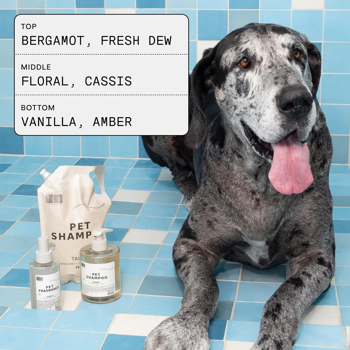 Pet Shampoo & Fragrance Bundle Dog Grooming Set C9230