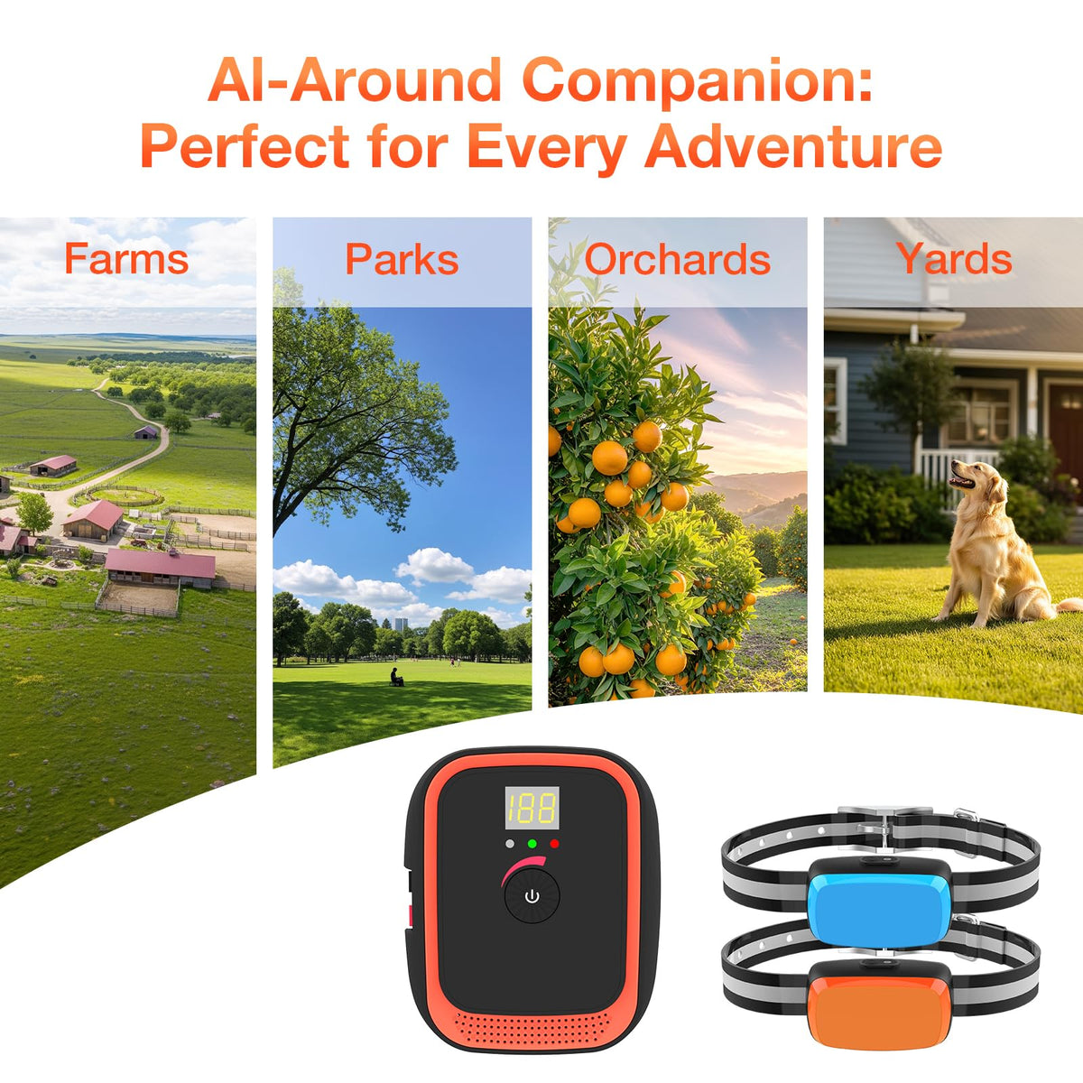 Electric Dog Fence T7170
