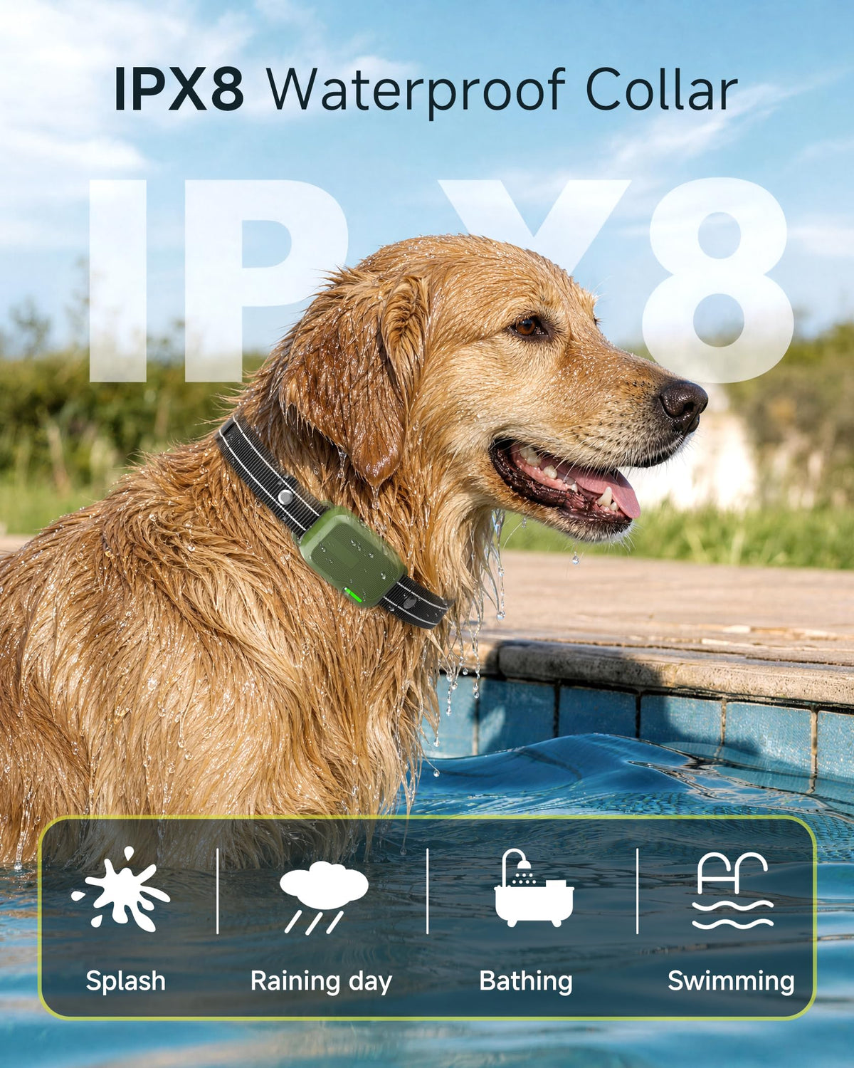 Dog Training Collar with Remote C528411