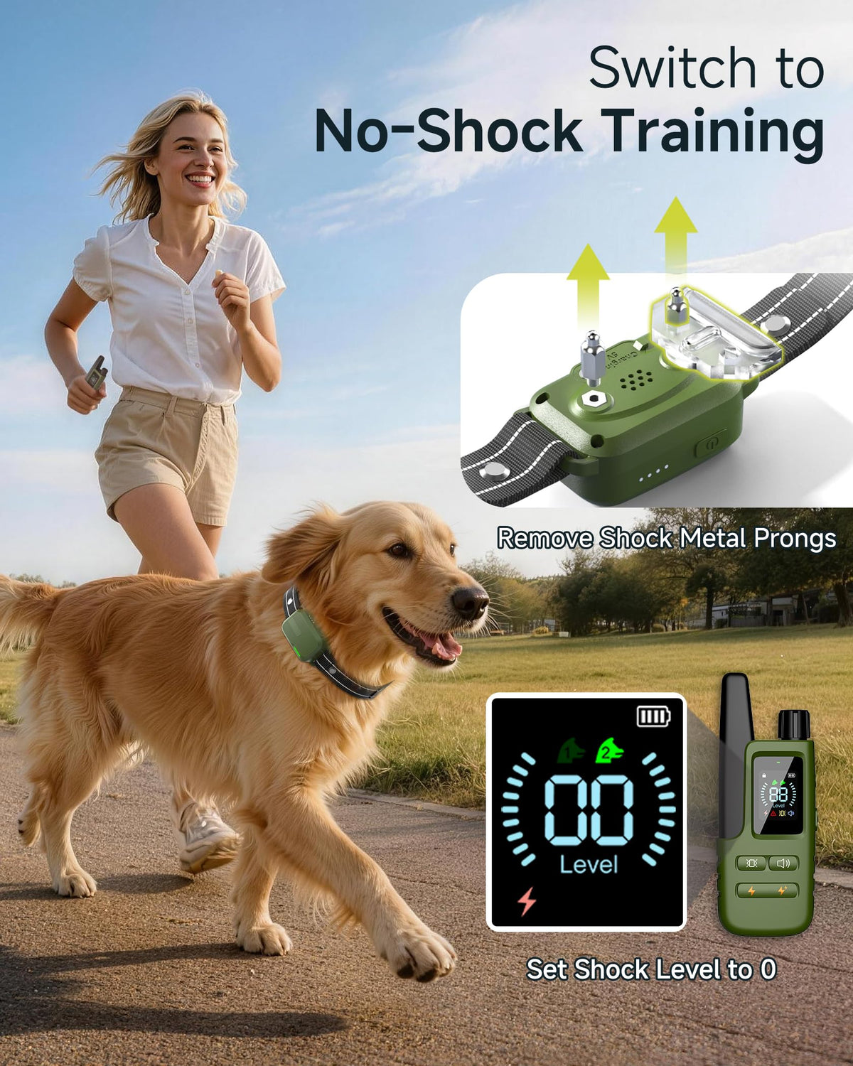 Dog Training Collar with Remote C528411