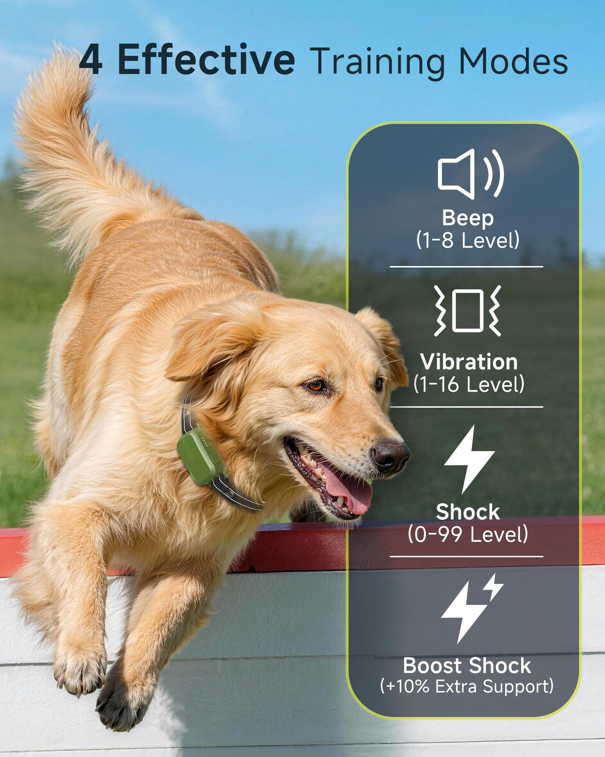 Dog Training Collar with Remote C528411