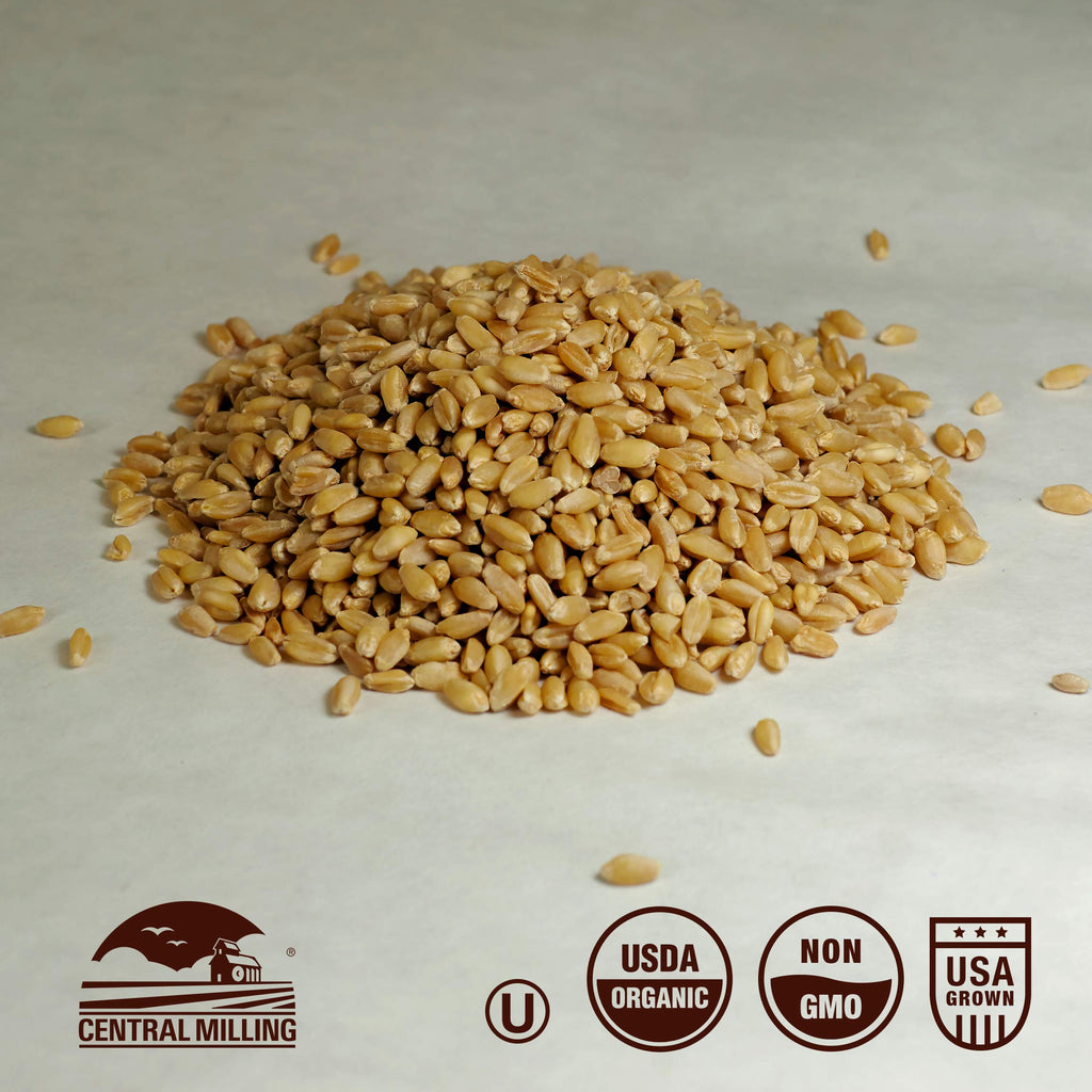 Organic Hard White Wheat Berries 25 lbs W785725