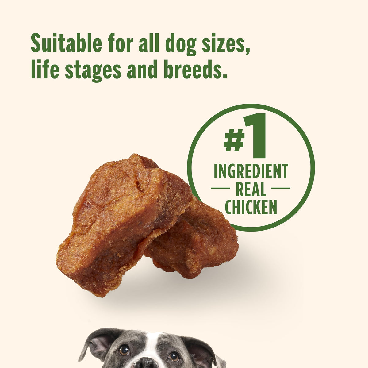 Chicken Dog Treats 30 oz Pouch Z520361