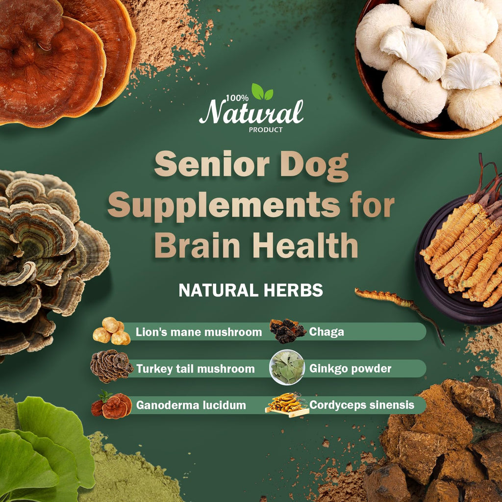 Dog Supplements Z1172
