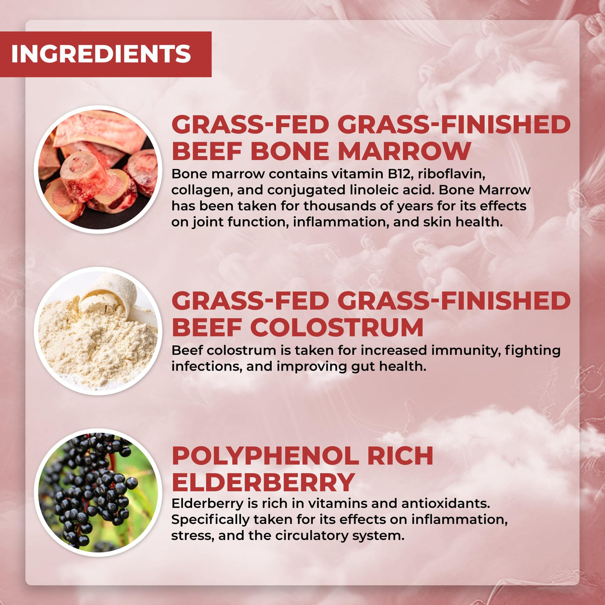 Grass Fed Beef Organ Supplement with Collagen, Maca Root, Colostrum, Bone Broth, 30 Servings R22986