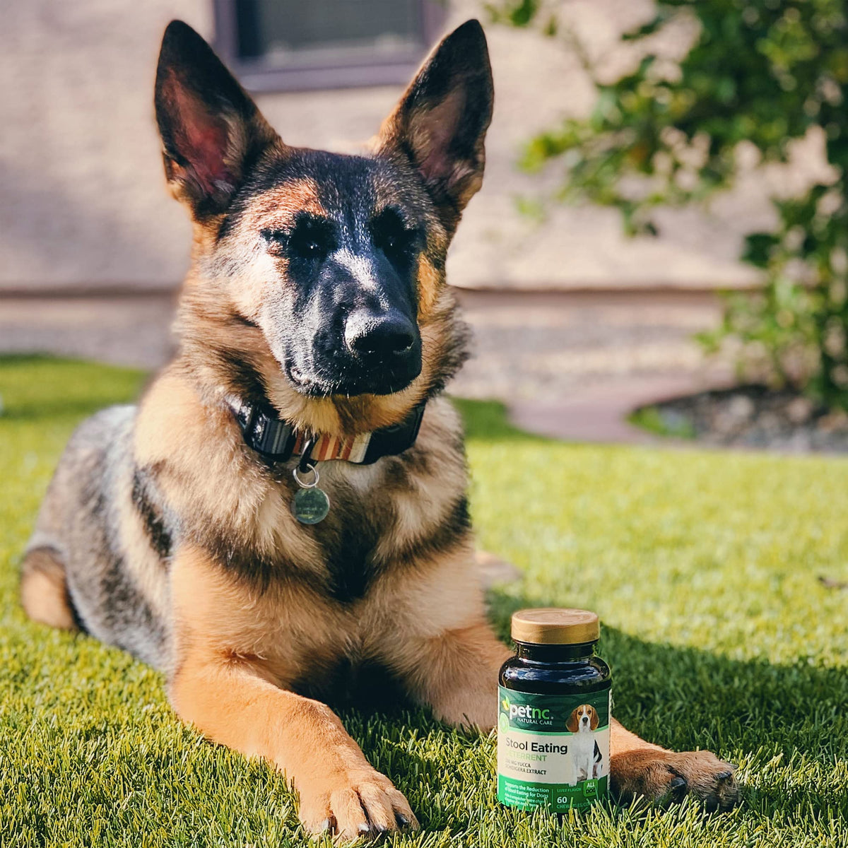 Stool Eating Deterrent Chewables for Dogs, 60 Count V461771