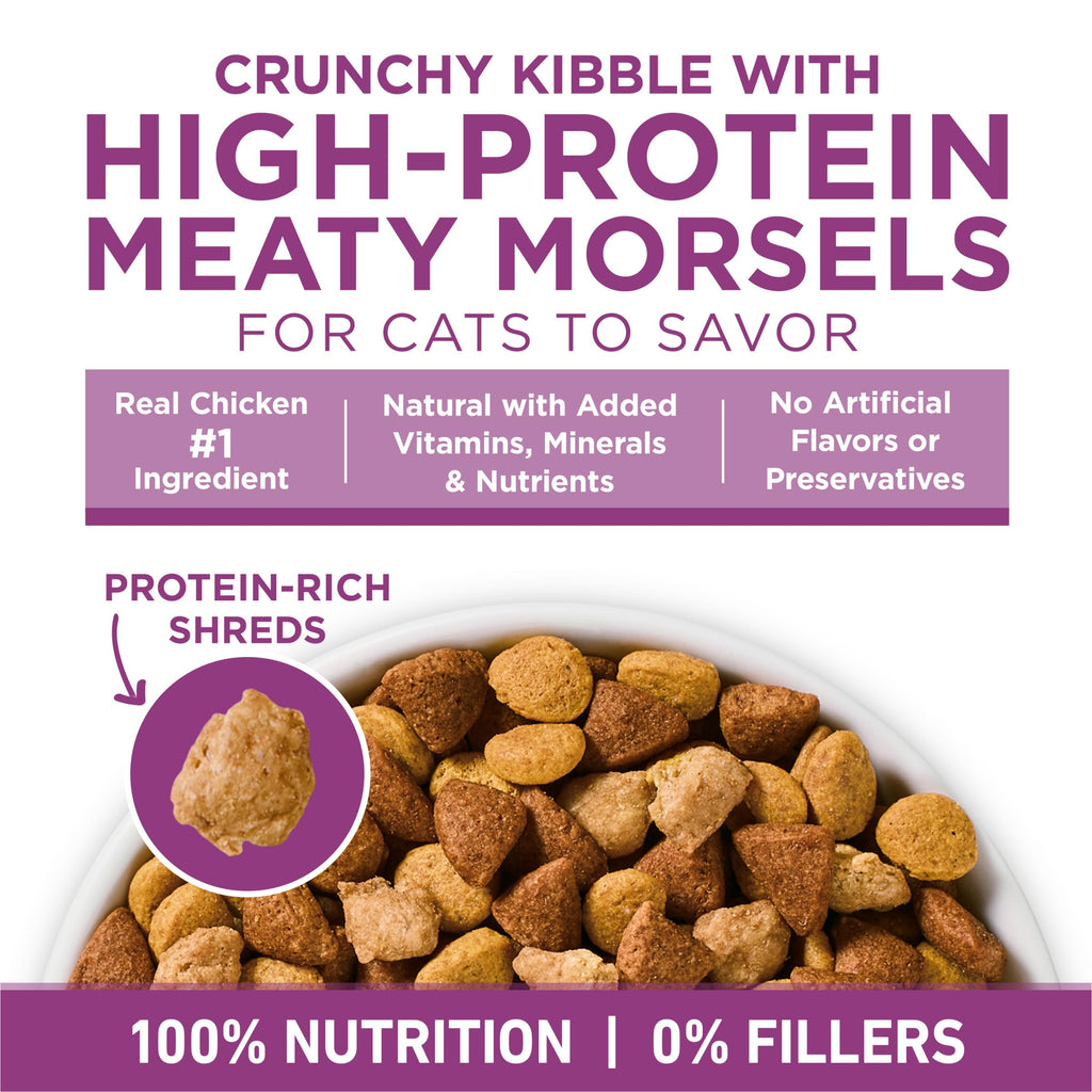 Dry Cat Food 22 lb. Bag Z372111