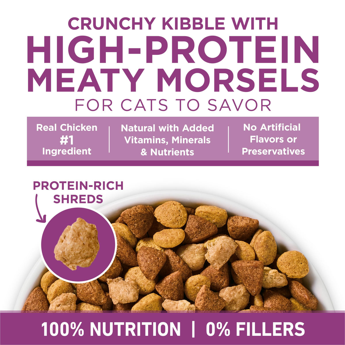 Dry Cat Food 22 lb. Bag Z372111