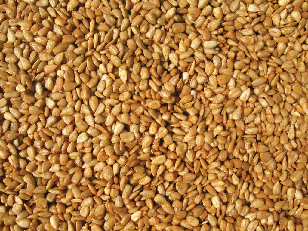 Bird Seed, 20-Pound V93633