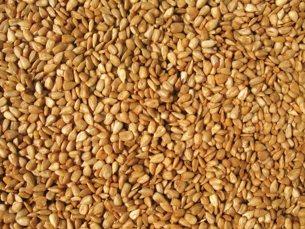 Bird Seed, 20-Pound V93633